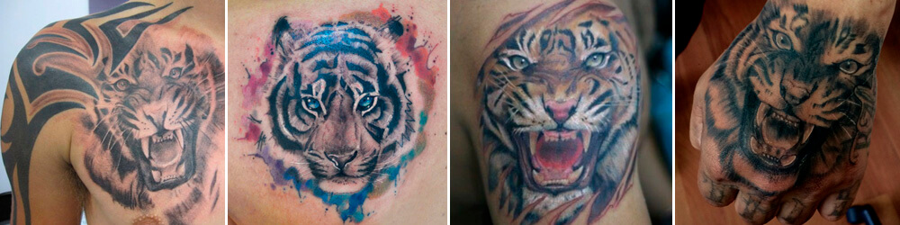Tattoos Tigres Watercolor, geometric, color , chest, arm , back, shoulder